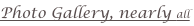 shapeimage_1_link_0